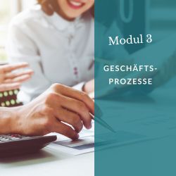 Modul 3: Geschäftsprozesse integrieren – Strukturen für nachhaltiges Wachstum Modul 3: Geschäftsprozesse integrieren – Strukturen für nachhaltiges Wachstum