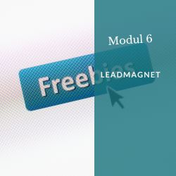 Modul 6: Leadmagnet – Wachse mit Strategie und echten Mehrwerten Modul 6: Leadmagnet – Wachse mit Strategie und echten Mehrwerten