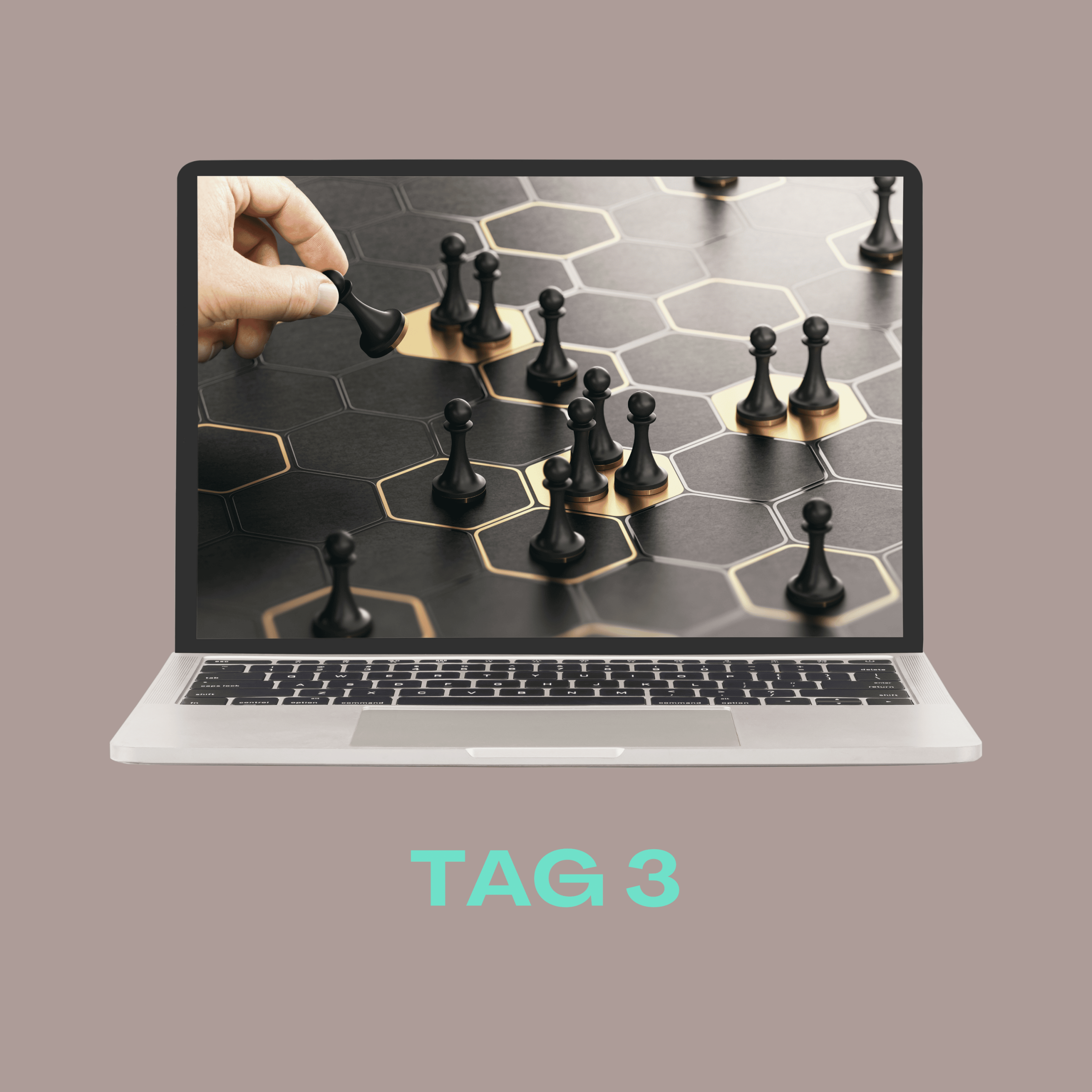 SBF-TAG_3